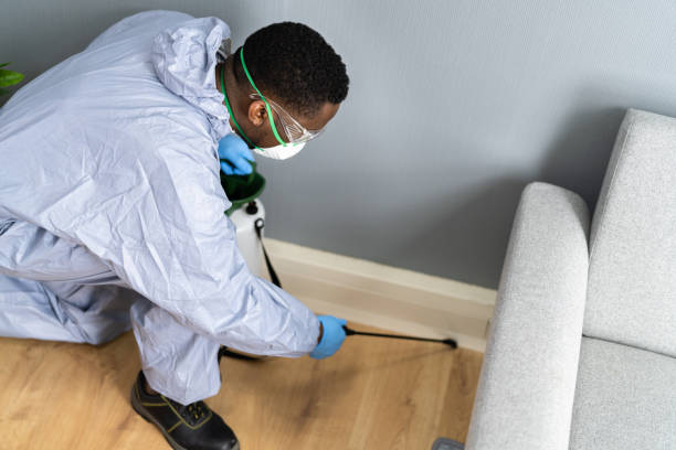 Best Bed Bug Extermination  in Bayou Vista, LA